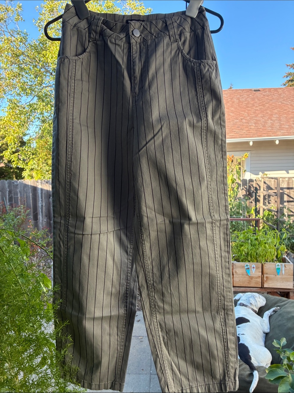 Women's Grey & Black Pinstripe Cropped, Barrel Leg Pants